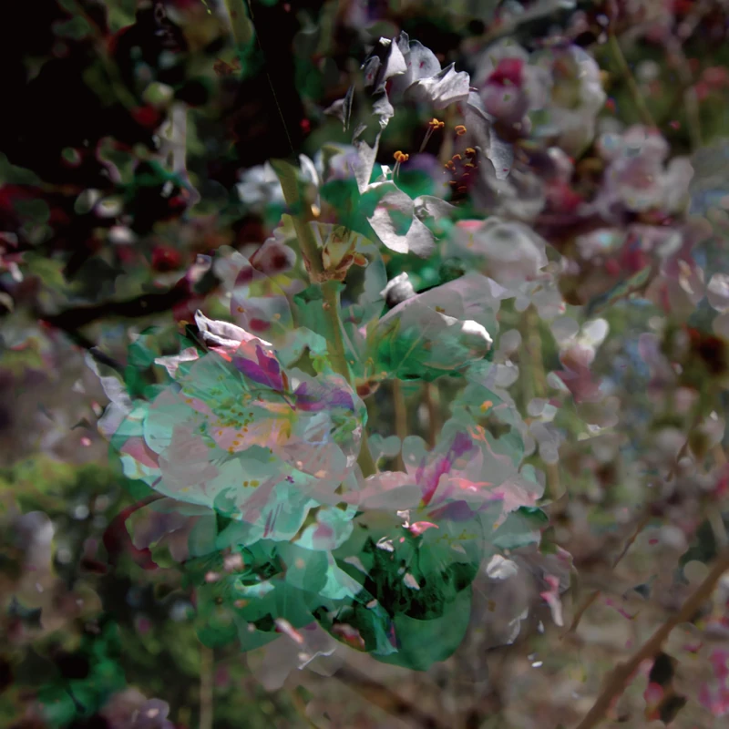 Shiminkai [Vinyl LP] [VINYL]