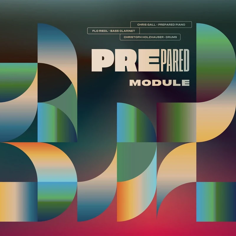 Module [VINYL]