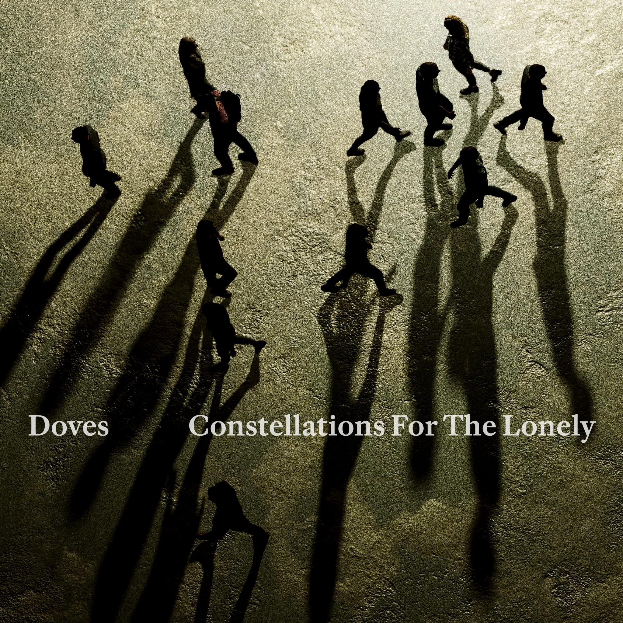 Constellations For The Lonely [VINYL]
