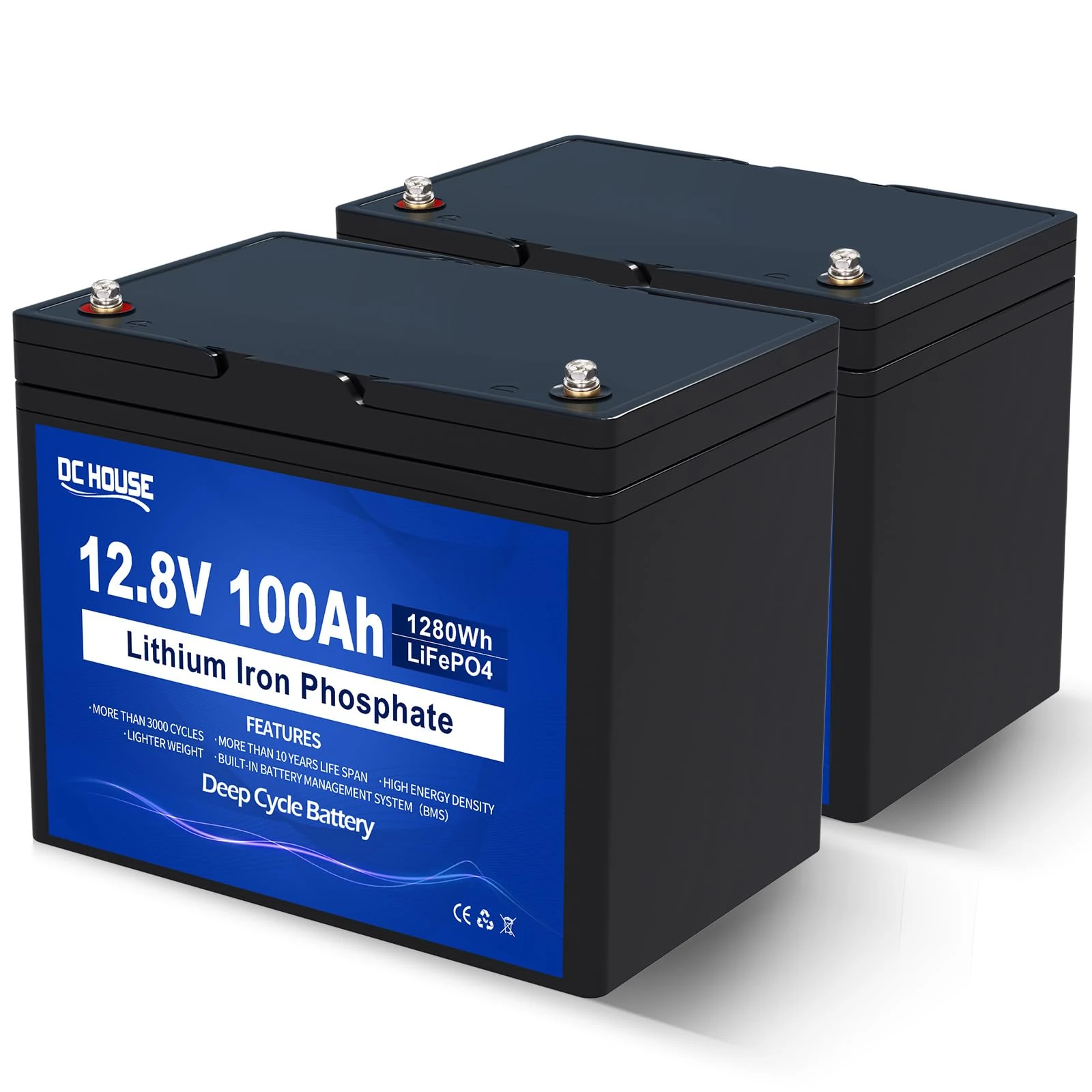 DCHOUSE 2 Pack 12V 100AH LiFePO4 Lithium Battery, Low-Temp Cut-Off, Group 31,Built-in 100A BMS, Up to 15000 Cycles Battery for Marine, Trolling Motor, Travel Trailer, Energy Storage-Off Grid, Caravans