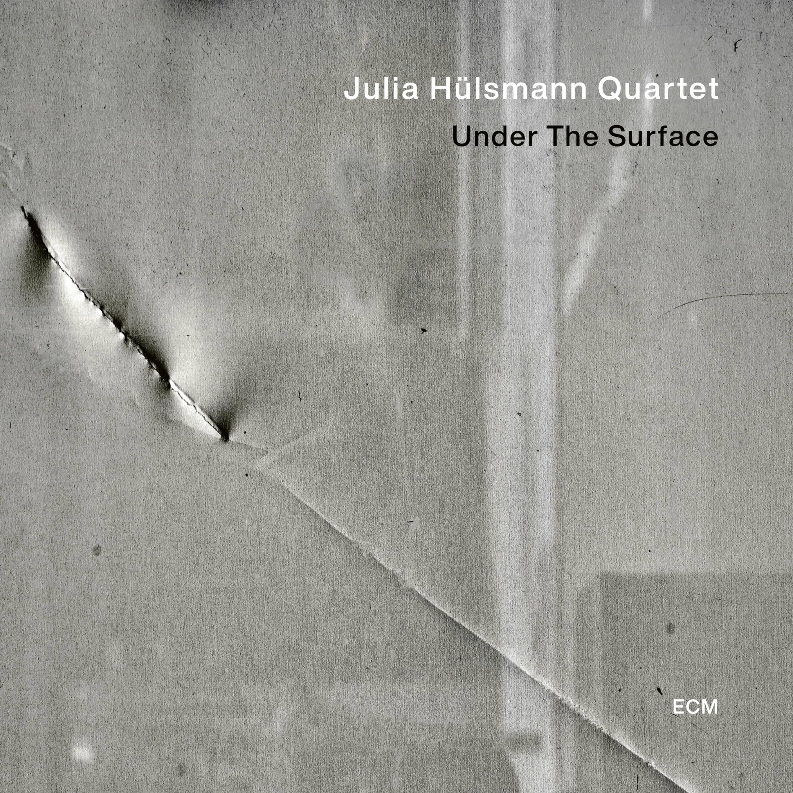 Julia Hulsmann: Under the surface