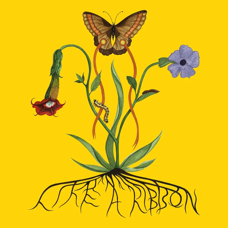 Young Like A Ribbon [Explicit] - Hip Hop Digital Album