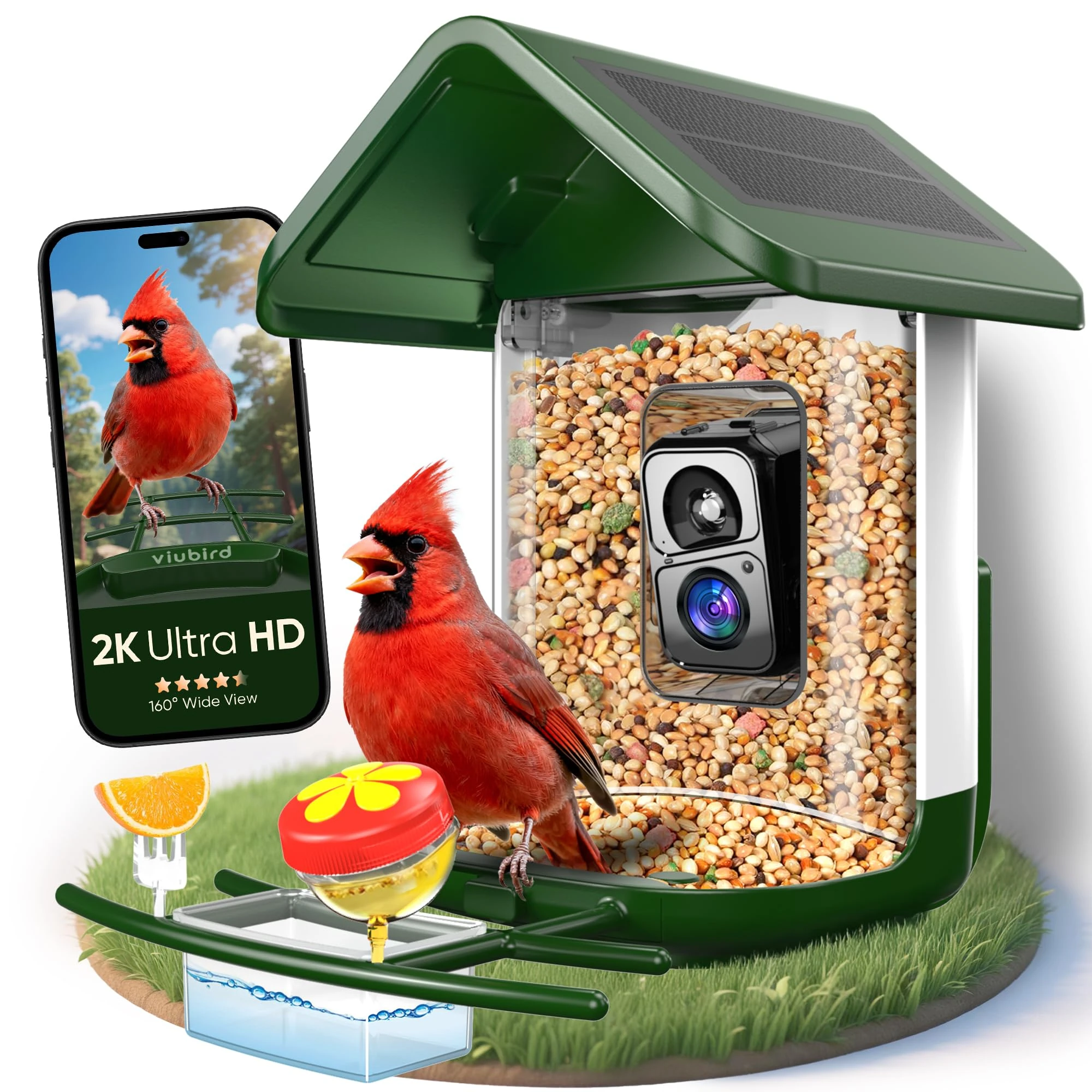 Viubird Bird Feeder with Camera Solar Powered : Smart Bird Camera Feeder 2K Live Feed for Backyard - AI Identify Auto Capture Videos, Gifts for Birdlovers Mom Dad, 2.4GHz WiFi