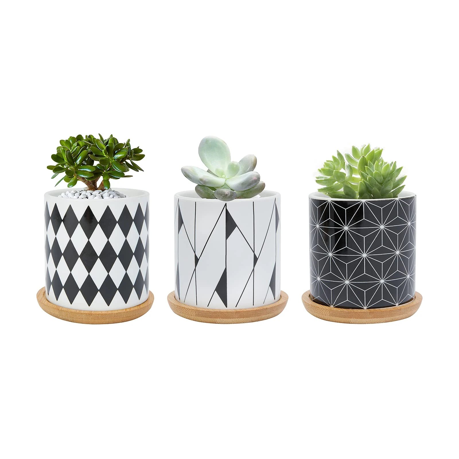FORAGIFT 7.5CM Succulent Plant Pot, Ceramic Geometric Pattern Cactus Plants Pot, Small Plant Pots for Indoor Outdoor Plants with Bamboo Tray, and Great for Home Office Decor, Set of 3