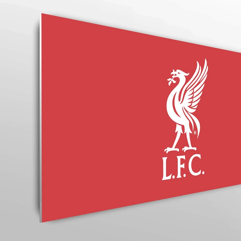 Licensed Décor Liverpool FC Single Headboard - 100cm (w) x 75cm (h) - Liver Bird in White on Brand Red