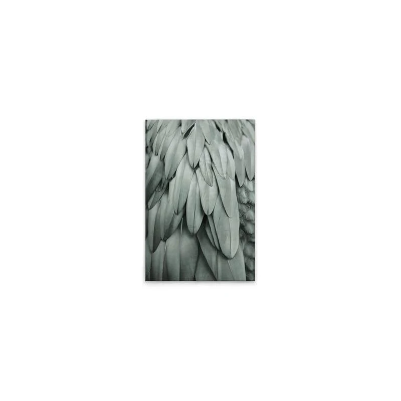 A.S. Création DD131752 Canvas Picture Feathers Modern Wall Picture in Blue, Grey 40 x 60 cm