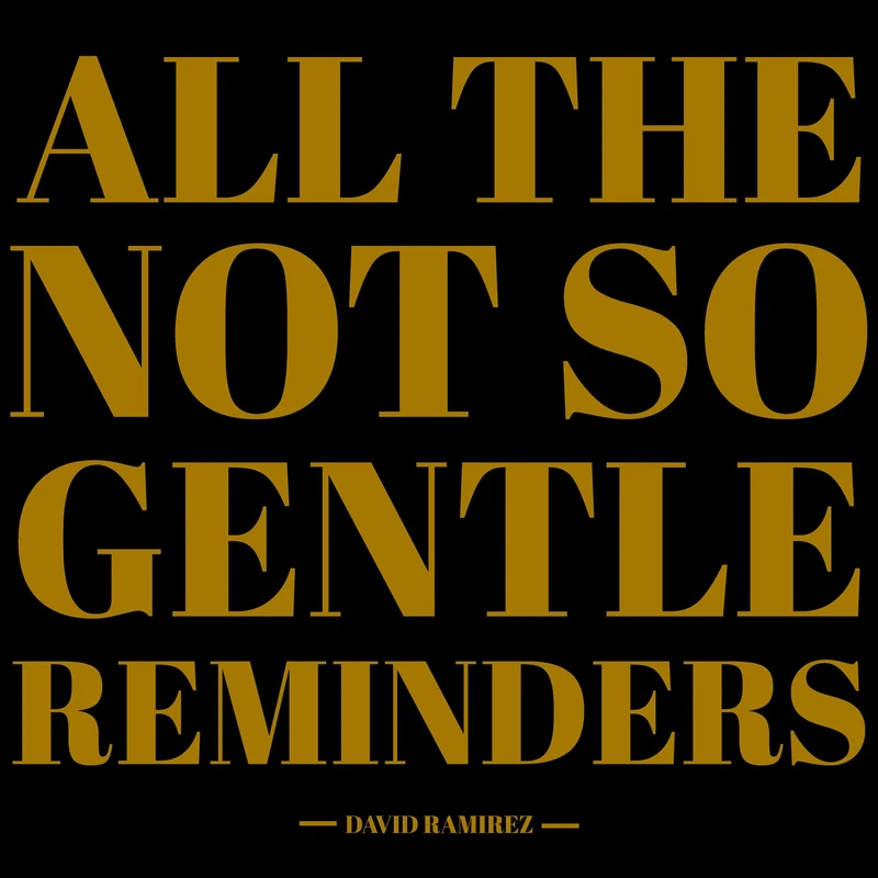 All The Not So Gentle Reminders [VINYL]