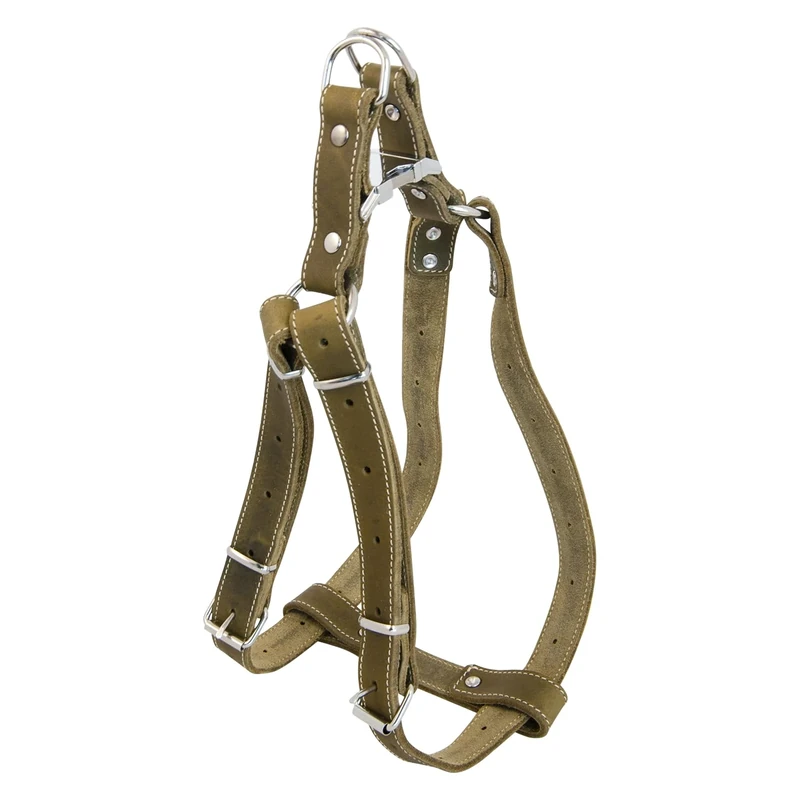 JACK AND VANILLA, Strong Leather Dog Harness, Custom Fit 40-60 cm, Green Colour, Elegant and Secure Design for Comfortable and Stylish Walks, Leather Model