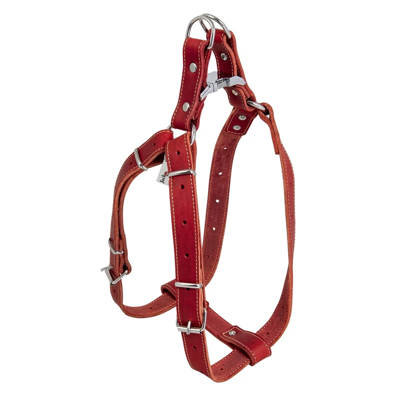 JACK AND VANILLA, Strong Red Leather Dog Harness, Adjustable from 65 to 90 cm, Width 25 mm, Elegant Design and Optimal Safety for Your Walks, Leather Model