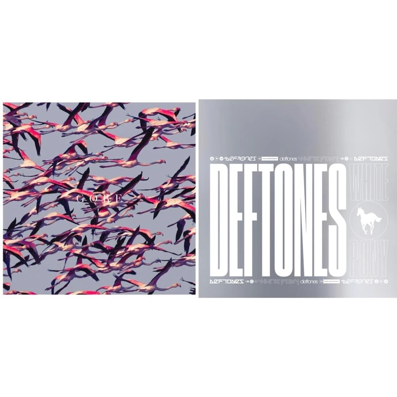 White Pony (20th Anniversary Deluxe Edition) [VINYL]