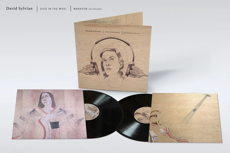 Died In The Wool - Manafon Variations [VINYL] - Image 1