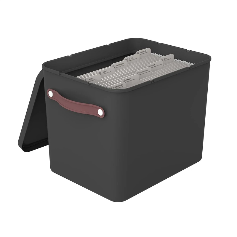 Rotho MyPaper Archive box document organiser. MY PAPER Plus, Plastic (PP) BPA-free, black, (40.0 x 29.2 x 29.8 cm)