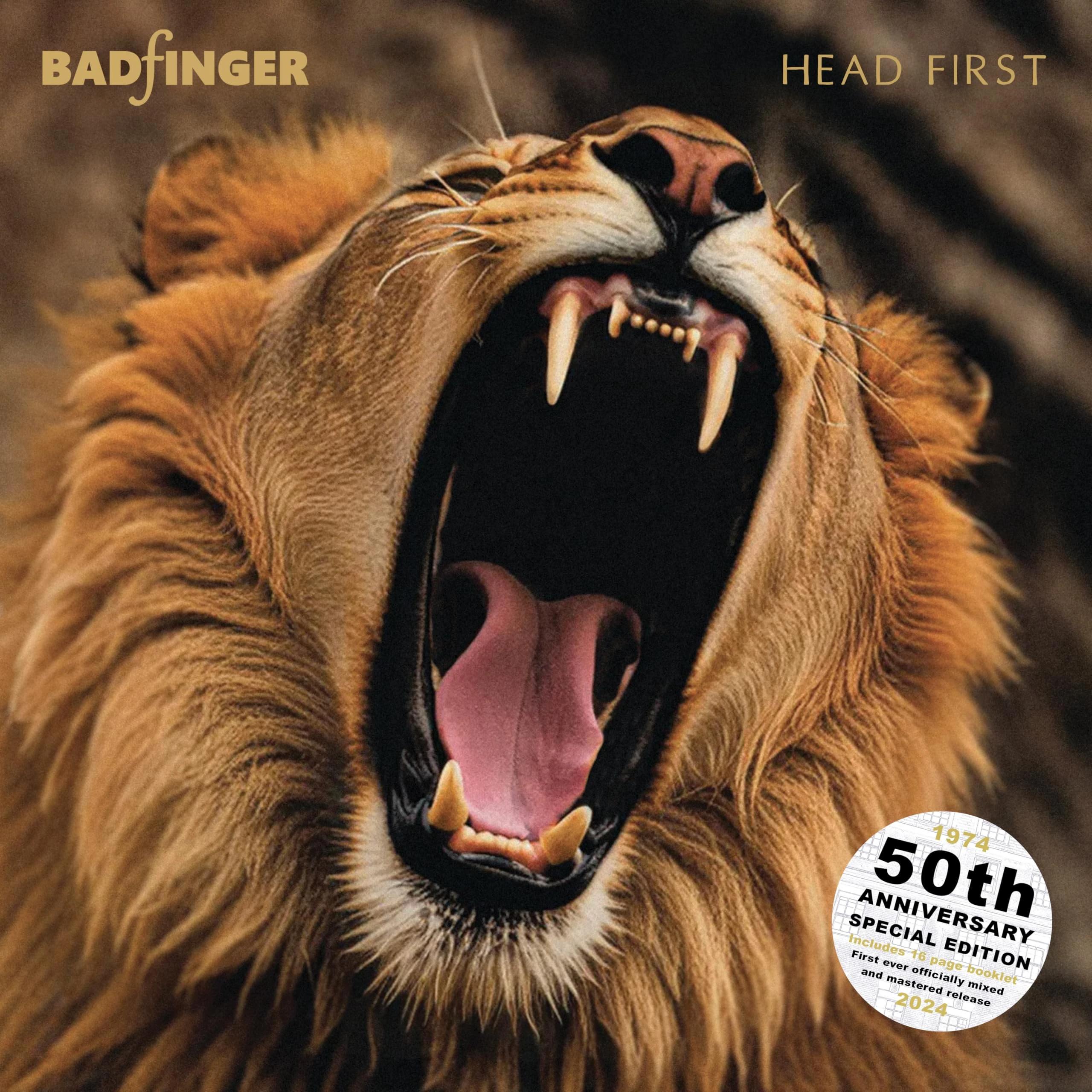 Head First [VINYL]