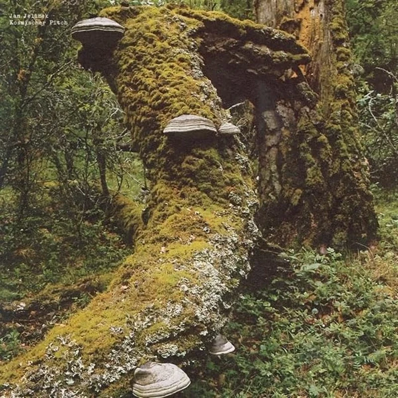 Kosmischer Pitch (Reissue) [VINYL] - Image 1