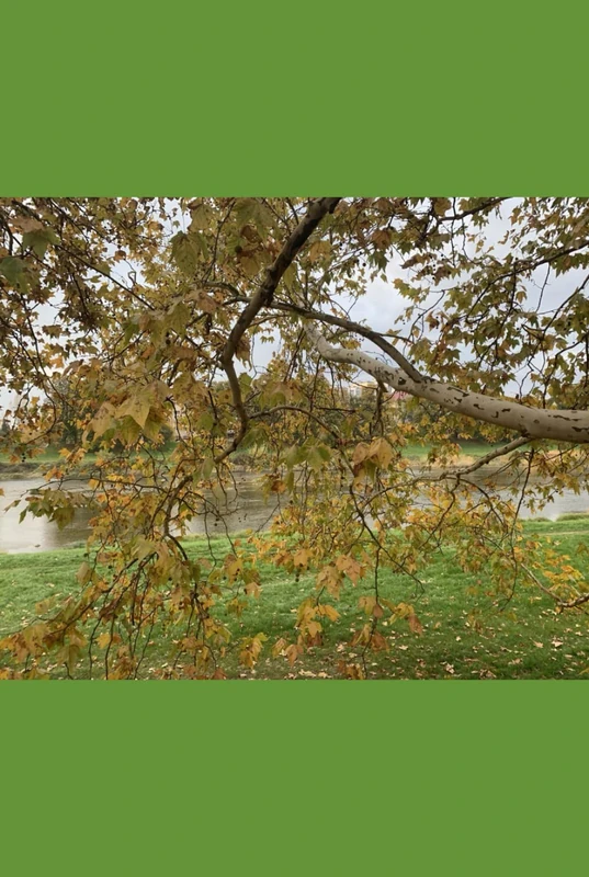 DIARY: an open space for my thoughts