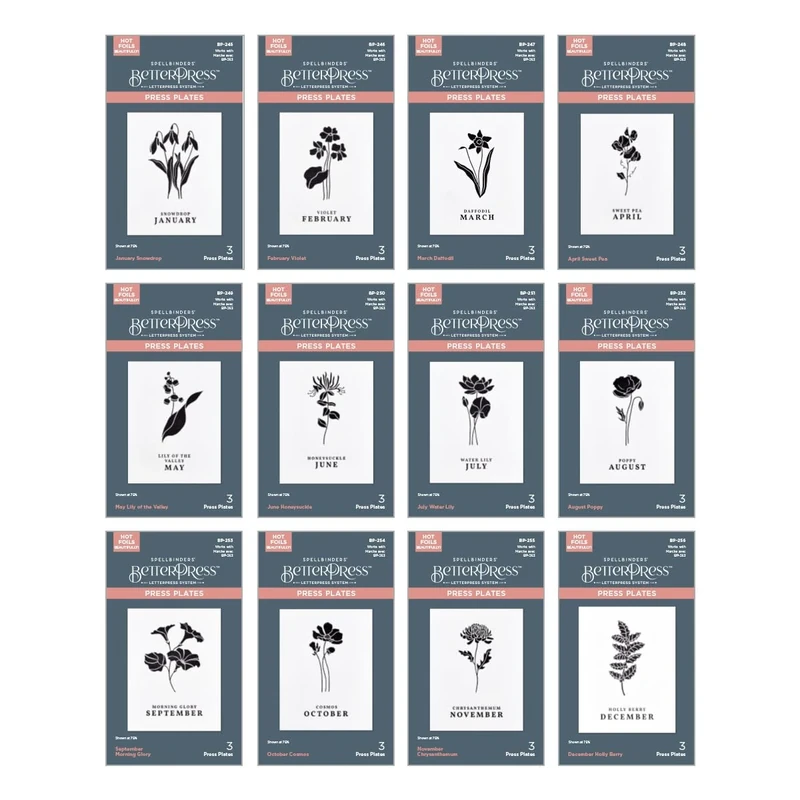 Spellbinders Florals Through The Year BetterPress Plates Bundle, Metal, ONE