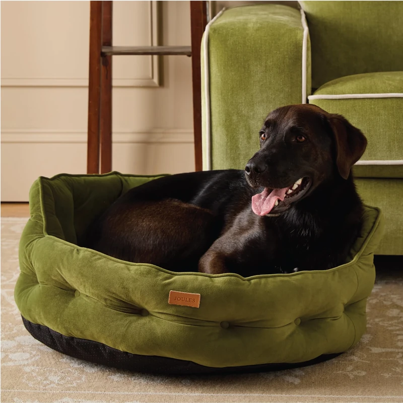Rosewood x Joules Khaki Chesterfield Pet Bed, Large – Luxury Velvet Dog Bed with Non-Slip Base, Extra Padding & Supportive Cushion – Stylish Sofa-Inspired Design, Comfortable Resting Spot