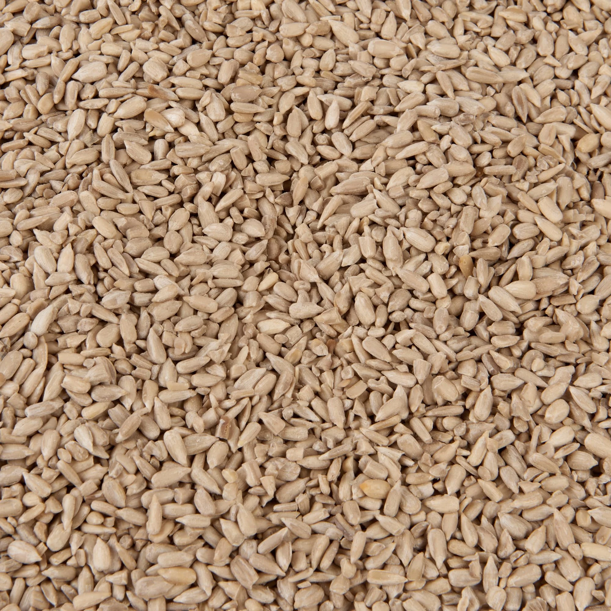 Wild Bird Food (3kg, Sunflower Hearts)