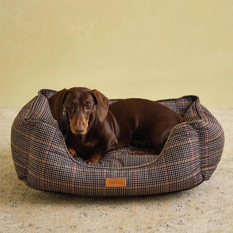 Rosewood x Joules Henson Check Box Bed for Dogs, Small Dog Bed, Padded Sides, Non-Slip Base, Luxury Pet Bed for Small Dogs and Cats