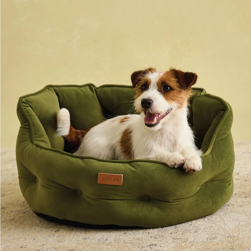 Rosewood x Joules Khaki Chesterfield Pet Bed, Small – Luxury Velvet Dog Bed with Non-Slip Base, Extra Padding & Supportive Cushion – Stylish Sofa-Inspired Design, Comfortable Resting Spot