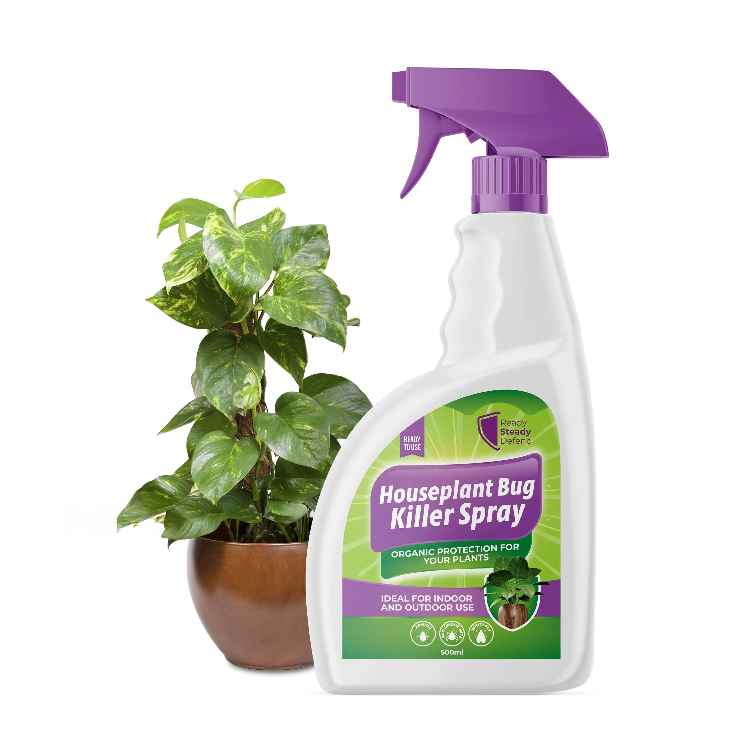 House Plant Bug Killer Spray 500ml – Natural Insecticide for Indoor & Outdoor Plants – Kills Aphids, Spider Mites, Whiteflies, Thrips & Other Pests – Plant Bug Spray for Home & Garden | Ready to use