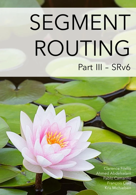 Segment Routing Part III: SRv6