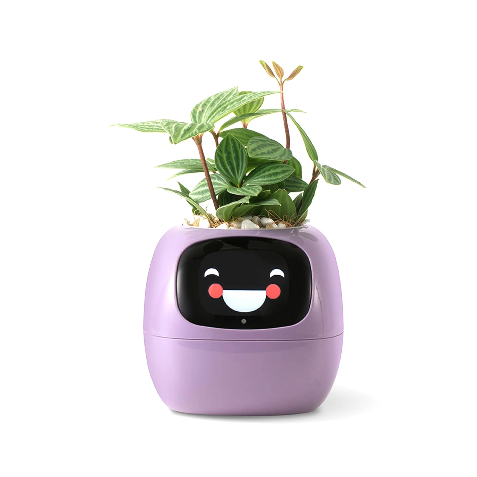 PLANTSIO Smart pet Planter Robot Guidance on Plant Care with Emojis, Adorable Plant Companion with Rich Gesture Interaction, Neat Desk Setup Gift (Purple)