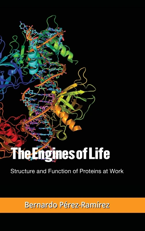 The Engines of Life: Structure and Function of Proteins at Work - Image 1