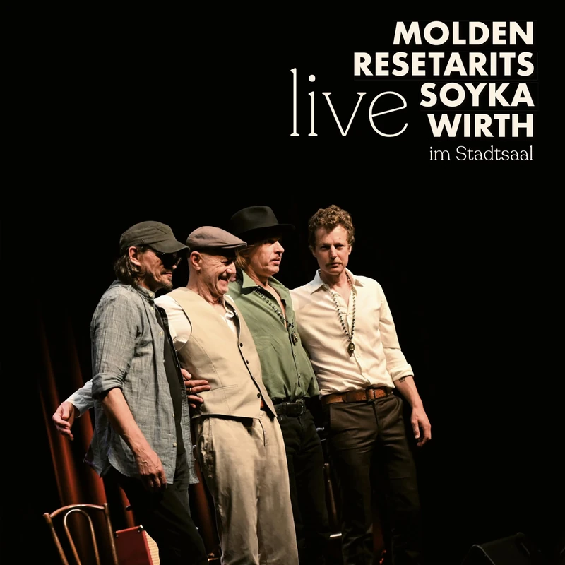 Live im Stadtsaal [VINYL]