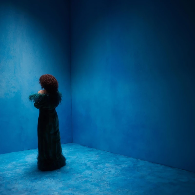 Onze (Clear Blue Vinyl) [VINYL] - Image 1