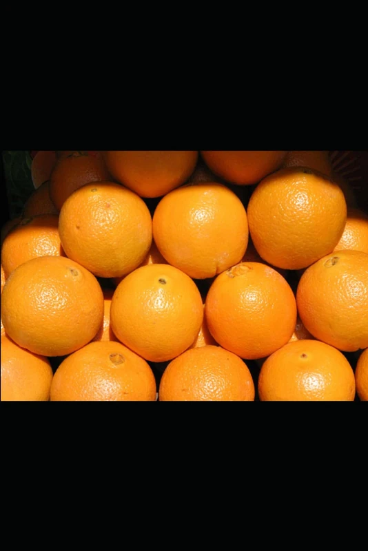 Meal Planner Magic: A Simple Guide to Organizing Your Weekly Meals: Plan, Prep, and Eat Smarter with This Easy-to-Use Meal Planning Journal