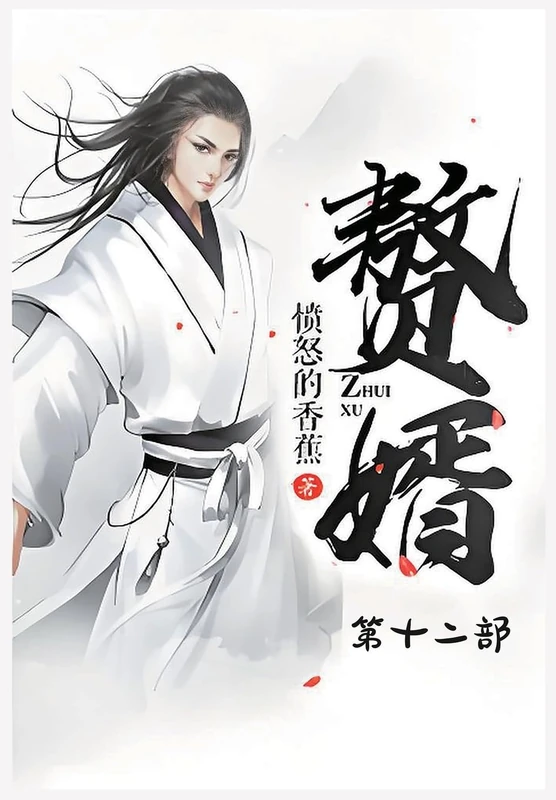 赘婿:第十二部