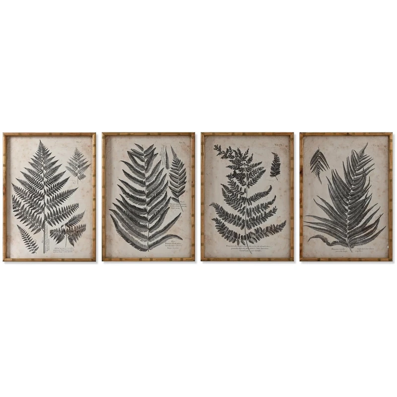 AlexandreHouse Crystal Fir Cuadro 50X3X70 HELECHO 4 SURT - Image 1