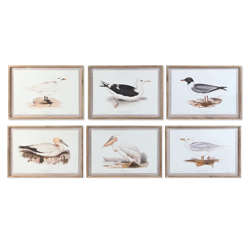 Crystal Fir Cuadro 70 x 2.5 x 50 Aves 6 Surt. - Image 1