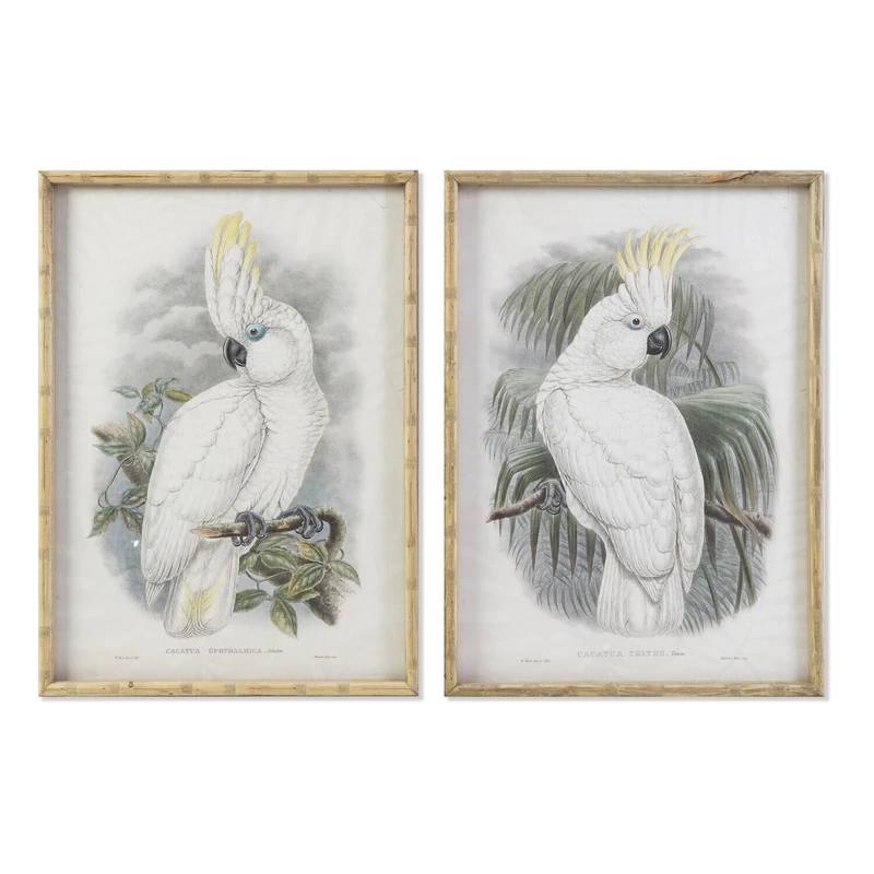 Cristal Bambu CUADRO 50X2.8X70 CACATUA 2 SURT - Image 1