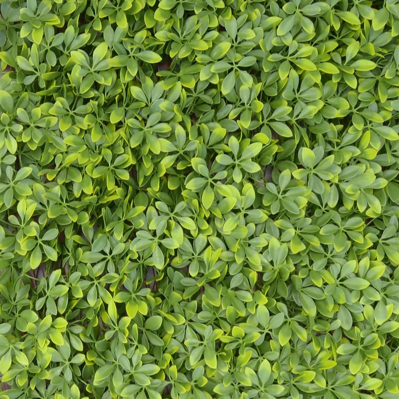 TENAX Divy Trellis Pytosphorus 100 x 200 cm Green, Extendable Trellis with Polyethylene Leaves Pithosphorus for Decoration and Screening of Balconies, Gardens and Fences