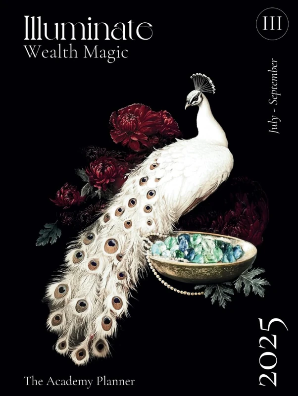 Illuminate 2025: Wealth Magic (Q3 Planner)