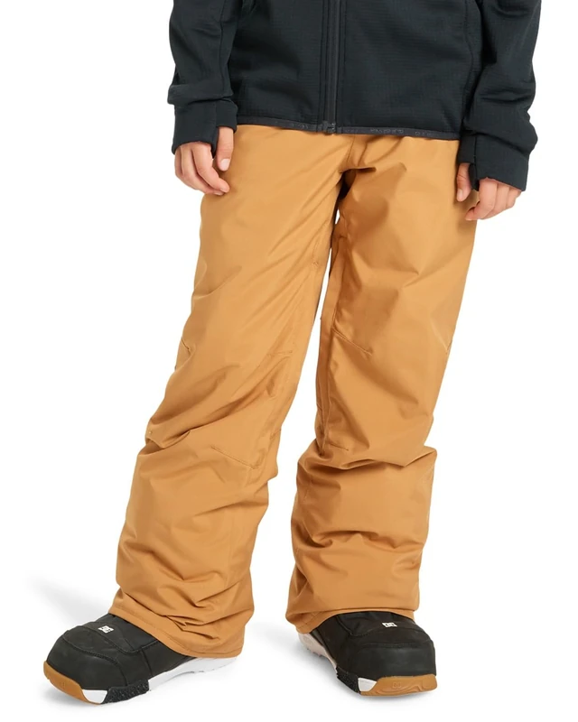 Quiksilver Snow Pants Estate Pant Kids Boy's Brown 10
