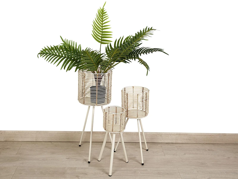 AlexandreHouse Home_232305000, Multicolour