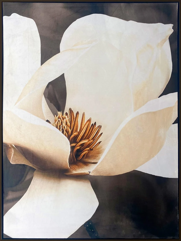 Magnolia Crepe with Marco - Image 1