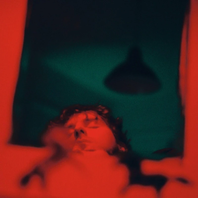 STAY WITH THE HORSES [VINYL] - Image 1