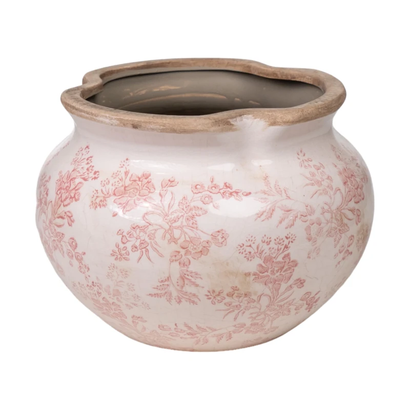 AlexandreHouse Home_255, Multicolour - Image 1