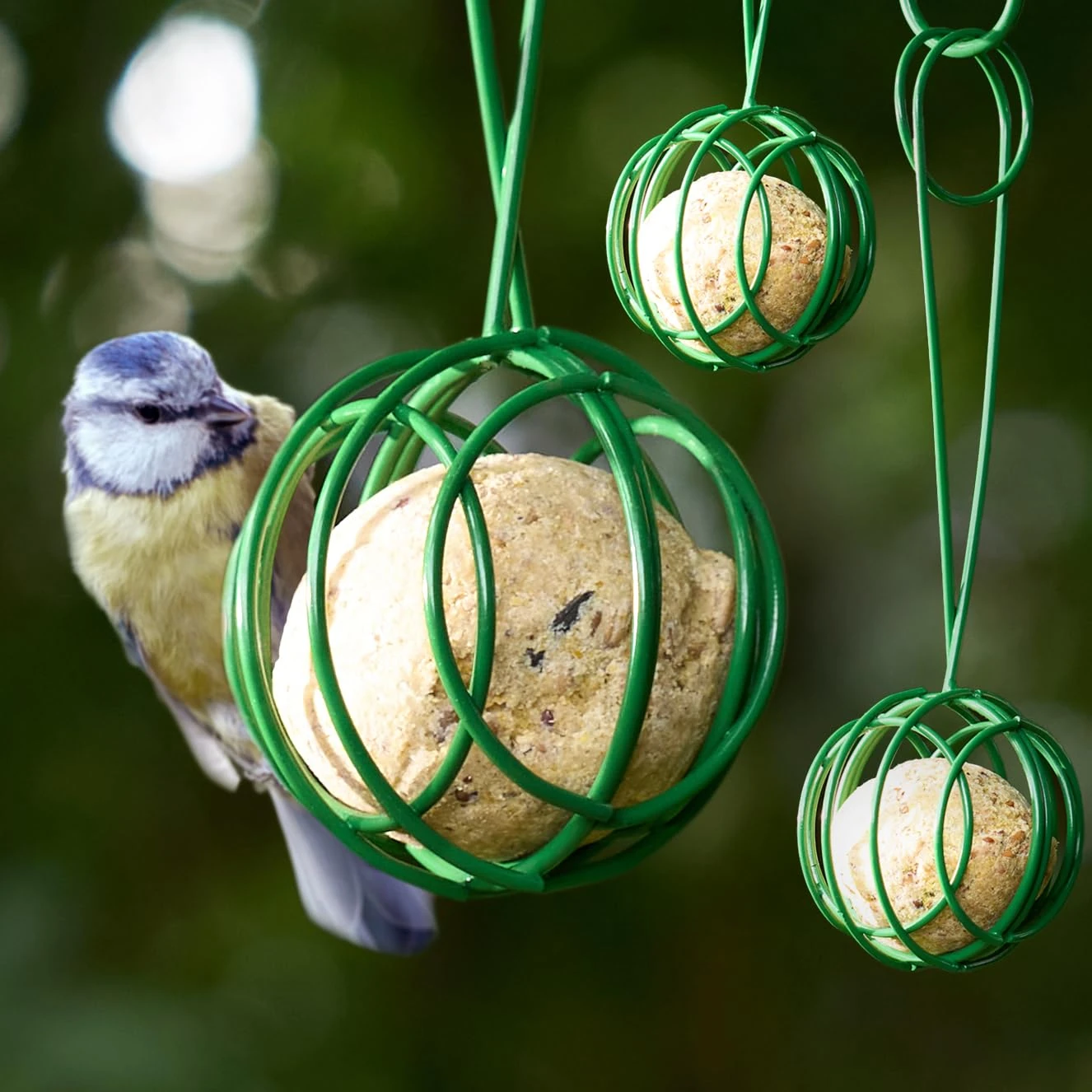 Hanging Fat Balls Feeders (Pack of 3) - Galvonised Iron - WEATHERPROOF Bird Feeders for Small Birds, Outdoor Garden Suet Feeder for Trees or a Bird Hanging Station