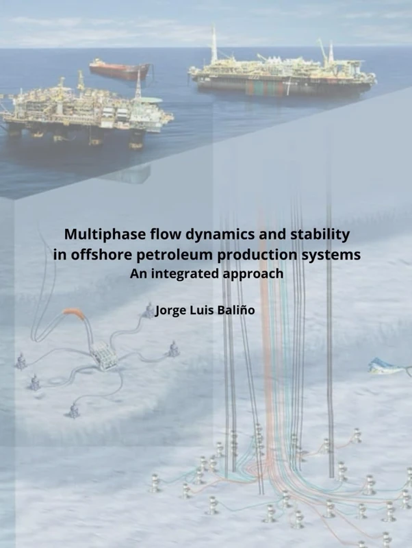 Multiphase flow dynamics and stability in offshore petroleum production systems: An integrated approach