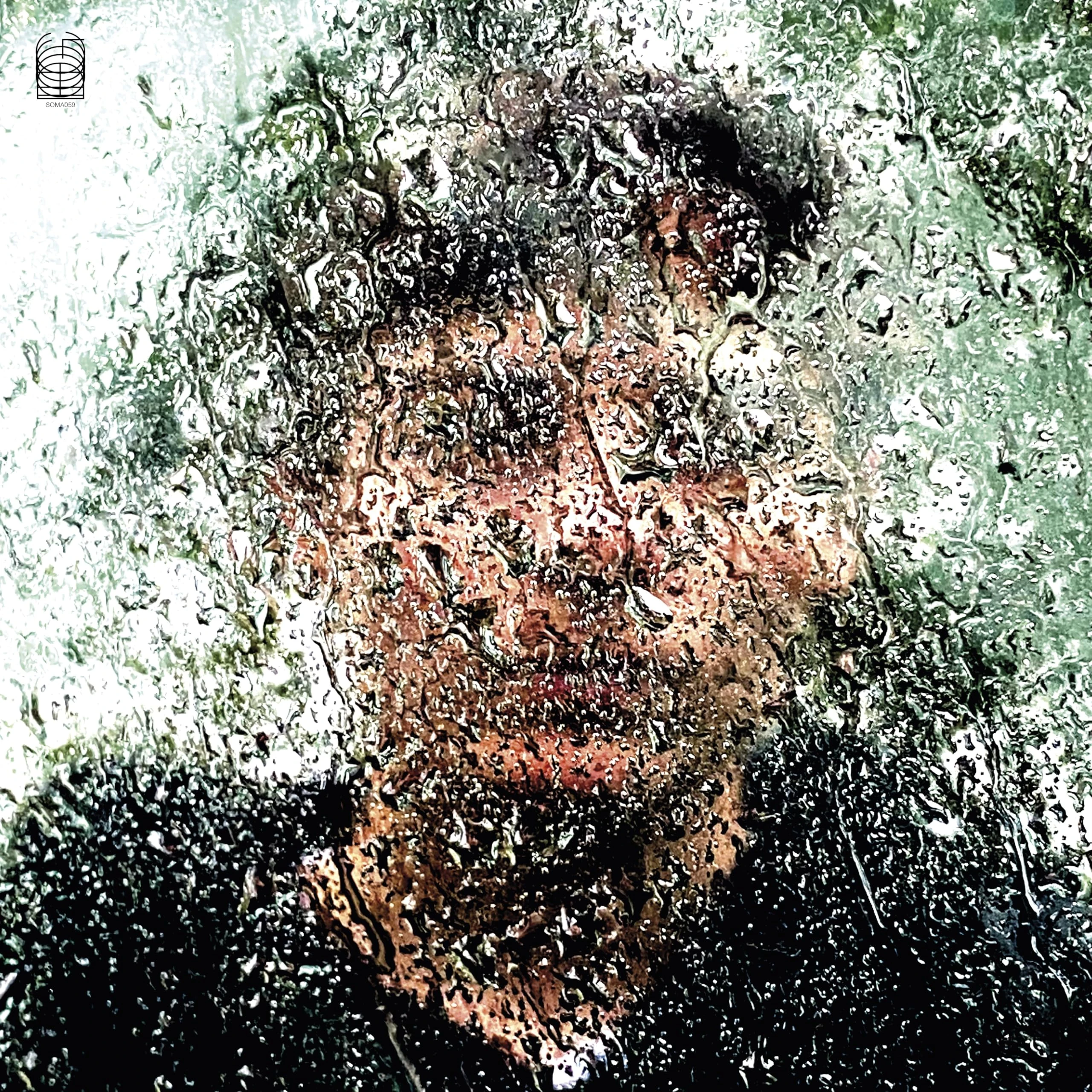 Bye Bye Bird [VINYL]