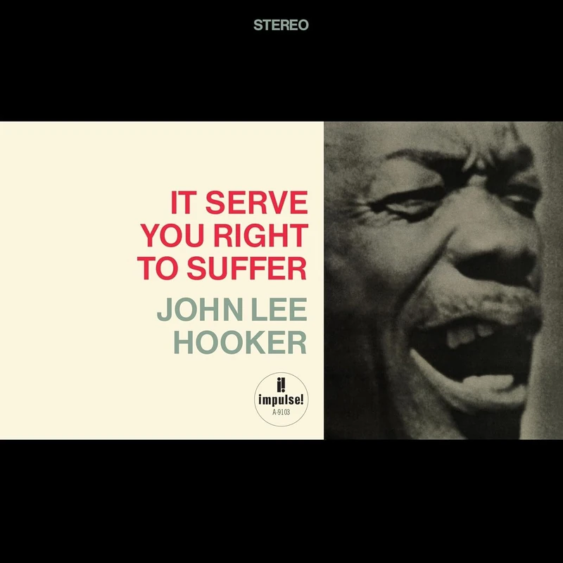 It Serve You Right To Suffer [VINYL]