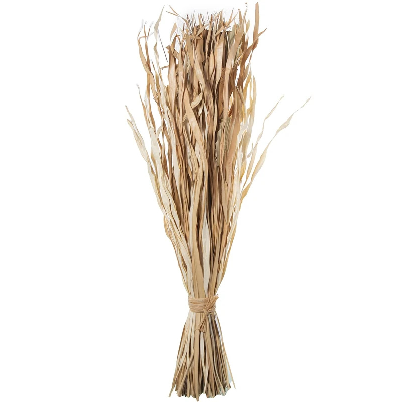 Branch Hojas Palm Natural_100 cm