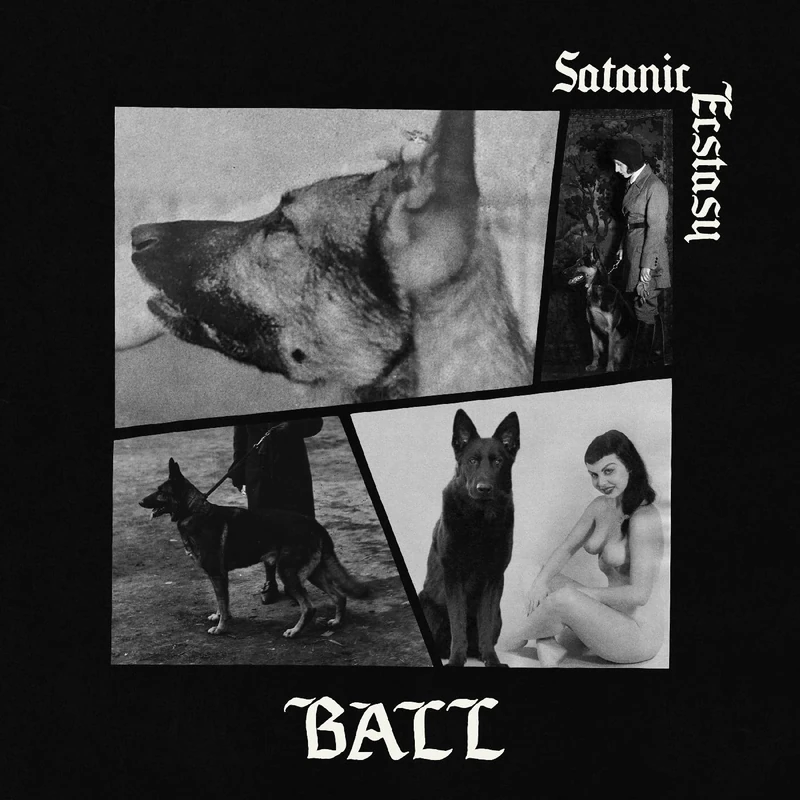 Satanic Ecstasy (Deluxe Edition) (Satanic Sex Splatter Vinyl) [VINYL]