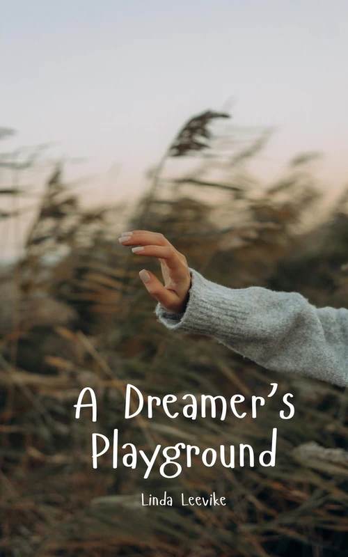 A Dreamer's Playground