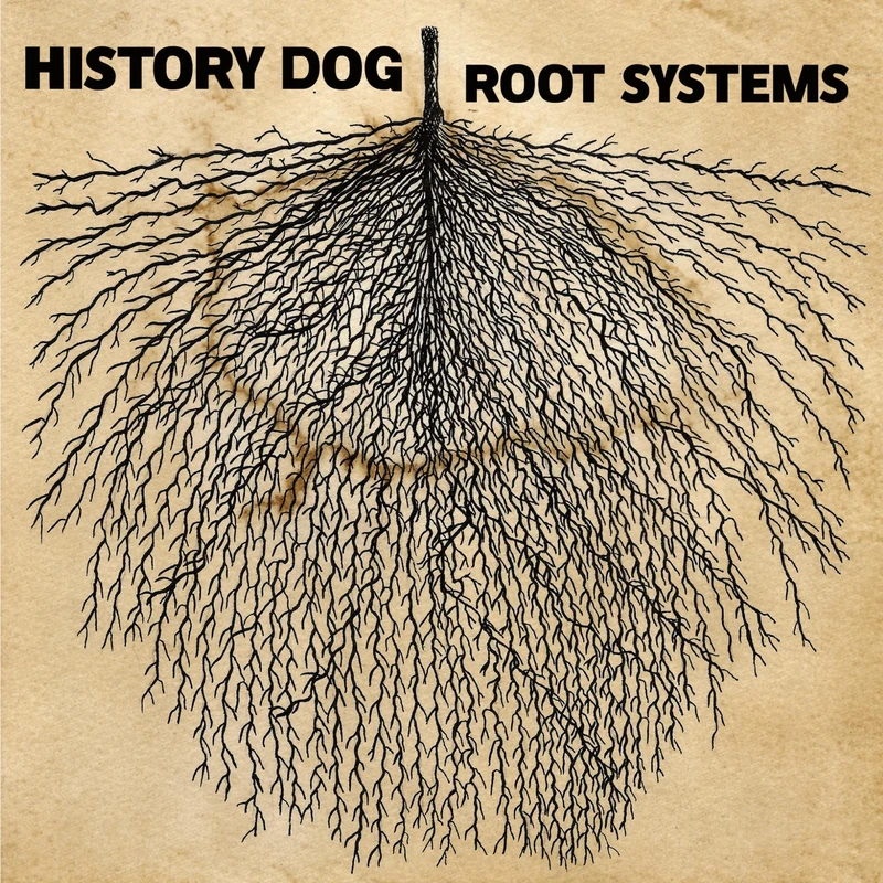 Root Systems [VINYL]